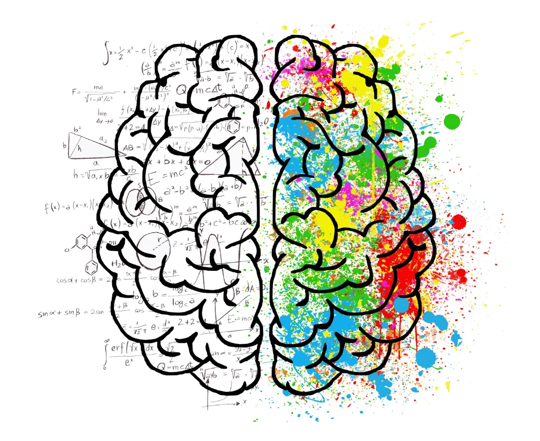 Cerebro neurodivergente y vuelta al cole Cerebros neurodivergentes vuelta al cole